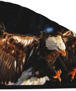 Xzeit 3D Weißkopfseeadler Haartuch Korallen Samt Trockene Haare Caps Schnell Trockenes Haar Bad Duschhaube Super Saugfähige Haartücher für nasses Haar Langes Dickes Lockiges Haar