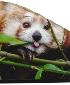 Little Red Panda Dry Hair Cap Absorbent Hair Turban Coral Velvet Bath Shower Cap Fast Drying Towels for Women