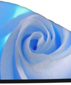 Xzeit Blaue und weiße Rose Haartuch Korallen Samt Trockene Haare Caps Schnell Trockenes Haar Bad Duschhaube Super Saugfähige Haartücher für nasses Haar Langes Dickes Lockiges Haar