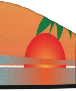 Xzeit Strandparty Sonnenuntergang Tropisches Urlaubshaartuch Korallen Samt Trockene Haarkappen Schnell Trockenes Haar Bad Duschhaube Super Saugfähige Haartücher für nasses Haar Langes Dickes Lockiges