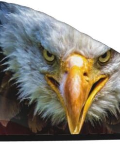 Xzeit American Bald Eagle Hair Towel Coral Velvet Dry Hair Caps Quick Dry Hair Bath Shower Cap Super Absorbent Hair Towels for Wet Hair Long Thick Curly Hair