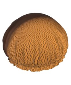 Sanddünen in der Sahara-Wüste bedruckte Duschhaube, Badehaube, wasserdichte Duschhaube, passend für alle Kopfgrößen, alle Haartexturen für Frauen, Haarbadehauben
