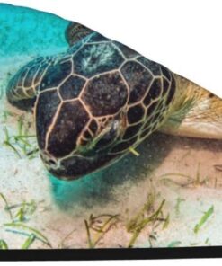 Xzeit Große Schildkröte Haar Handtuch Korallen Samt Trockenes Haar Caps Schnell Trockenes Haar Bad Duschhaube Super Saugfähige Haartücher für nasses Haar Langes Dickes Lockiges Haar