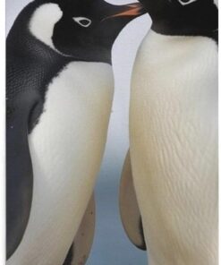 I Love Penguins Handtücher, weich, dick, tragbar, Waschlappen, Handtuch, Mehrzweck-Matte, superfeine Faser, saugfähiges Haartuch für Picknick, Pool, Bad