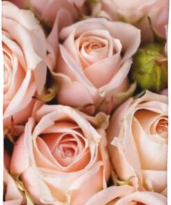 BAFAFA Rosa Rosen Gedruckt Gesicht Waschlappen Schnell Trocknende Waschlappen Weiche Fingerspitze Handtücher Saugfähige Gesicht Waschlappen Weiche Make-up-Entferner Tücher