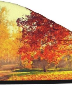 Xzeit Herbstszene Haartuch Korallen Samt Trockenes Haar Caps Schnell Trockenes Haar Bad Duschhaube Super Saugfähige Haartücher für nasses Haar Langes Dickes Lockiges Haar