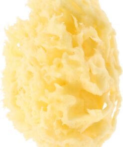 VALICLUD Körperpeeling Duschschwamm Waschschwamm Badeschwamm Peeling-duschschwamm Tragbarer Badeschwamm Platzsparend Schnelltrocknend Körperpeeling Duschzubehör