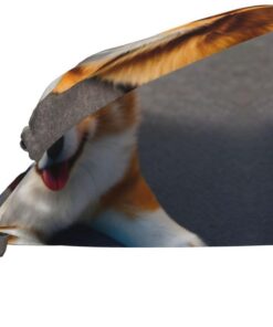 Funny Corgi Butt braune Reinigungs-Arbeitskappe, atmungsaktiv, verstellbar, für den Mehrzweckgebrauch in Chef, Spa, Fitness und Zuhause