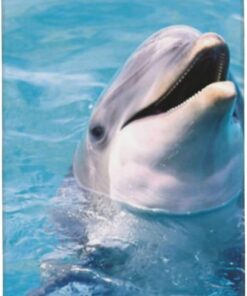 BAFAFA Happy Dolphin bedruckte Handtücher, Badetuch, Mikrofaser, sehr saugfähig, Handtücher, weiche Waschlappen für Badezimmer, Fitnessstudio