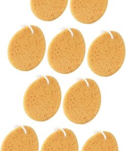 Healvian 10 Natürlicher See- Rückenschwamm Natürliches -loofa-körperwäscher Badeschwämme Für Damen Peeling- Luffa-badeschwamm Haushalt Zubehör
