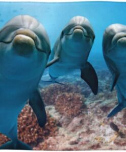PEIXEN Ocean Animal Lustige Delfin-Handtücher, weiche Gesichtstücher, sehr saugfähige Waschlappen für Badezimmer und Gästezimmer, 69,8 x 40,6 cm